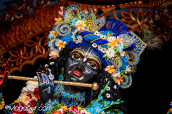 Daily Darshan