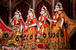 Daily Darshan