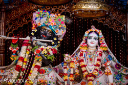 Daily Darshan