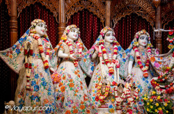 Daily Darshan