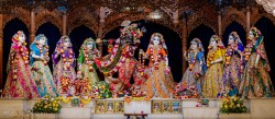 Daily Darshan
