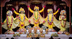 Daily Darshan