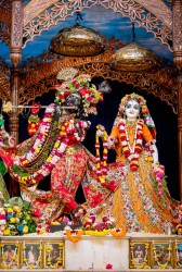 Daily Darshan