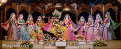 Daily Darshan