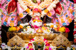 Daily Darshan