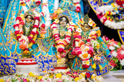Daily Darshan