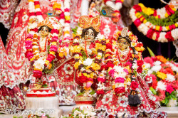 Daily Darshan