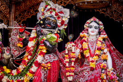 Daily Darshan