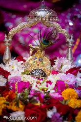 Daily Darshan