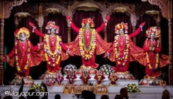 Daily Darshan