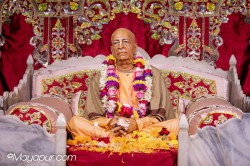 Daily Darshan