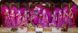 Daily Darshan