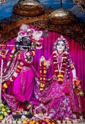 Daily Darshan