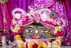 Daily Darshan