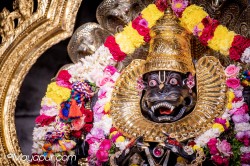 Daily Darshan