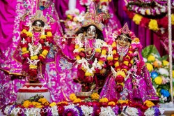 Daily Darshan