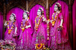 Daily Darshan