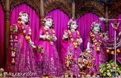Daily Darshan