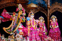 Daily Darshan