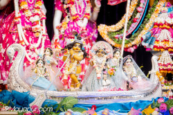 Daily Darshan