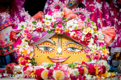 Daily Darshan