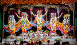 Daily Darshan