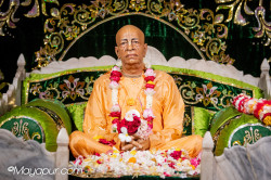Daily Darshan