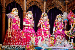 Daily Darshan