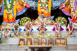 Daily Darshan