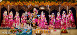 Daily Darshan