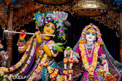 Daily Darshan