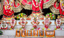 Daily Darshan