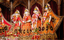 Daily Darshan