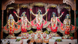 Daily Darshan