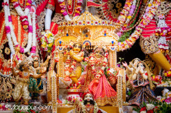 Daily Darshan