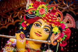 Daily Darshan