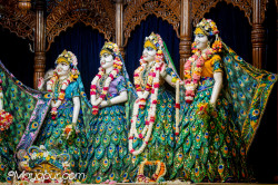 Daily Darshan