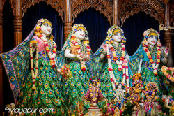 Daily Darshan
