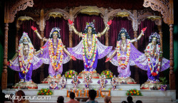Daily Darshan