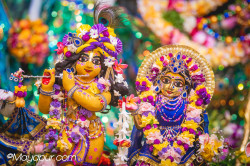 Daily Darshan