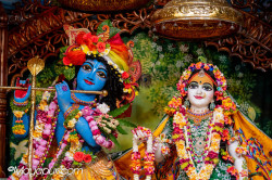 Daily Darshan