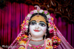 Daily Darshan