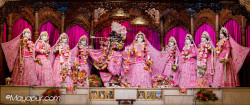 Daily Darshan