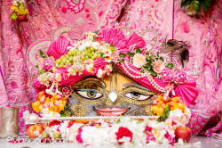 Daily Darshan