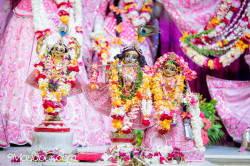 Daily Darshan