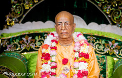 Daily Darshan