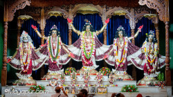 Daily Darshan