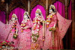 Daily Darshan