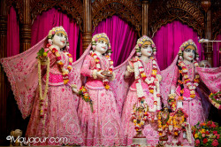 Daily Darshan