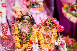 Daily Darshan